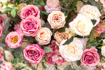 bouquet of pink roses on pink background, 