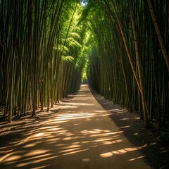 Sunlight filtering through a dense bamboo forest onto a dirt path