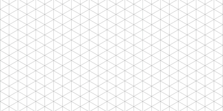 Isometric grid gray. Triangle line background.vector eps 10.