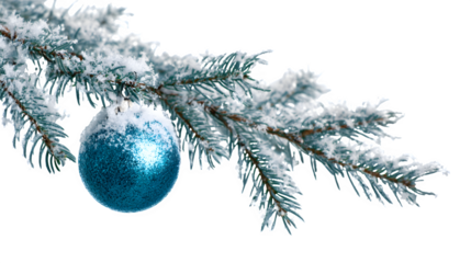A high-resolution shot of a Christmas tree branch, covered in glistening artificial snow, with a single, perfectly round, icy blue glass ornament. Crisp winter, clean, isolated on white background.