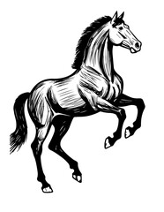 horse vector illustration