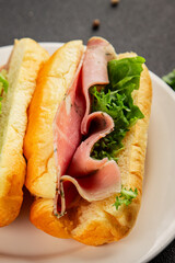 Ham sandwich green leaf salad, spam, meat snack vegetables natural product tasty tasty snack fresh delicious gourmet food background on the table rustic top view copy space