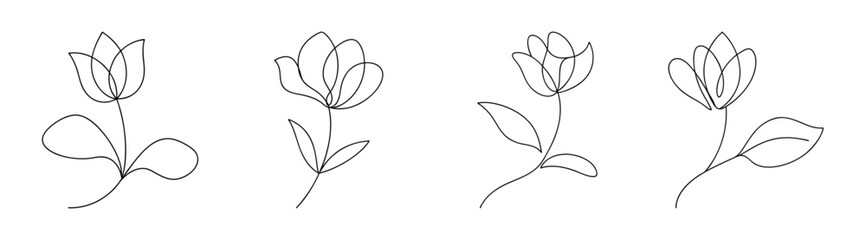 Exquisite line art cyclamen flower studies delicate blooms detailed botanical sketch series artistic floral art