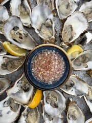 A platter displays fresh oysters arranged around a bowl of shallot vinegar garnished with lemon wedges on ice.