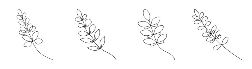 Four delicate sketchy black and white drawings of lupine flower spikes with fine detail and artistic flair