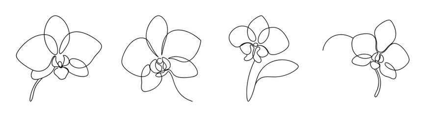 Four delicate orchid flower sketches line art graceful botanical plant drawing elegant floral design