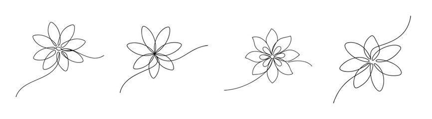Delicate black and white line art sketches of intricate passionflower blooms and vine tendrils