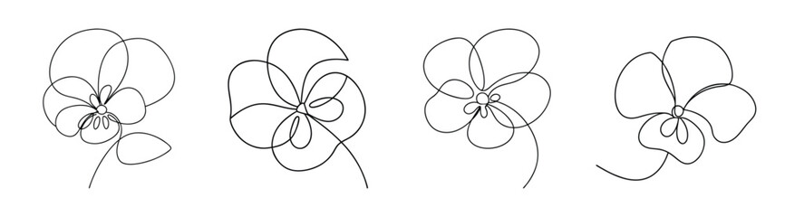Delicate hand drawn sketch of four pansy flowers showing petal details and delicate stem lines