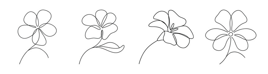 Four delicate line art drawings of petunia flowers showing detailed petals and stems