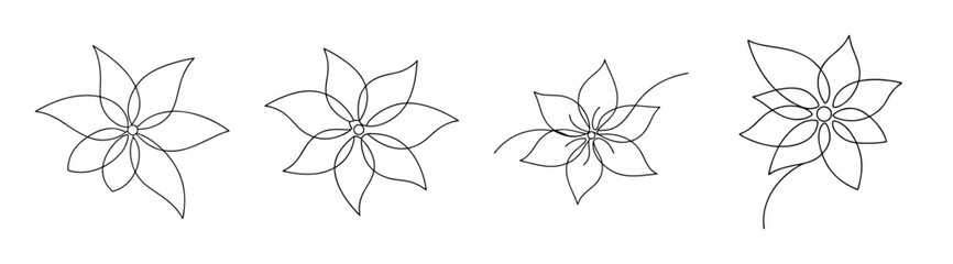 Poinsettia flower sketches set four unique botanical line drawings delicate floral art