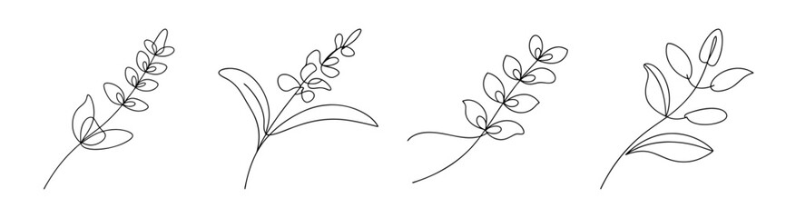 Delicate hand-drawn salvia flower line art elements featuring delicate branches and floral details perfect for graphic design projects