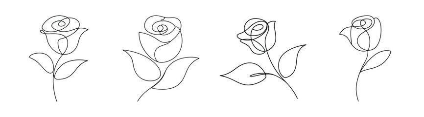 Elegant outline drawings of roses displayed individually on a plain canvas for artistic use