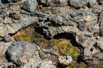 Rocks on a beach in the sun and wet.