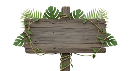 Wooden jungle signpost with vines and leaves on a transparent background