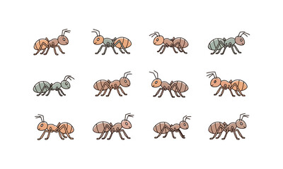 Ant Drawing Collection – Flat Design Insects