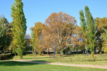 autumn in the park