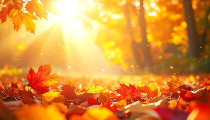 Radiant autumn forest with golden sunlight illuminating vibrant red and orange fallen leaves, creating a warm and picturesque natural scene with soft bokeh