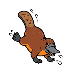 Fototapeta premium Cartoon platypus swimming with water droplets illustration.
