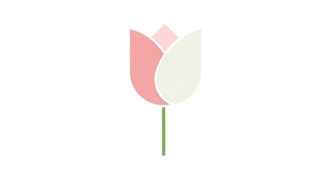 Isolated tulip flower illustration on white background
