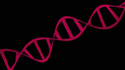 DNA System HUD Medical Element Isolated DNA helix Holographic animation of DNA strands rotating on Black background . - Powered by Adobe