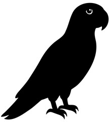 silhouette of a pigeon vector 