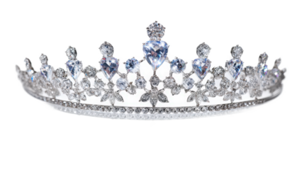 Elegant silver tiara with sparkling gemstones and intricate floral details, suitable for pageants, weddings, and costume parties