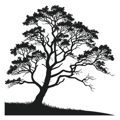 Obraz premium tree silhouette vector illustration on white background