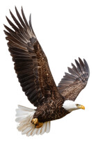 Fototapeta premium Majestic Bald Eagle in Flight, Wings Outstretched Against a Clear Blue Sky, Symbol of Freedom and Strength in Nature