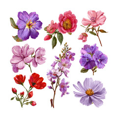 Vibrant flower collection botanical nature isolated on transparent background