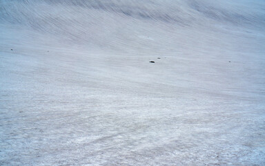 Gentle snow drifts curve across the landscape
