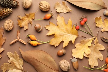 Dry autumn leaves, rose hip berries, walnuts, pine cones and acorns on dark beige background, flat lay