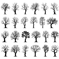 Obraz premium Collection of various silhouettes of leafless trees, black on white