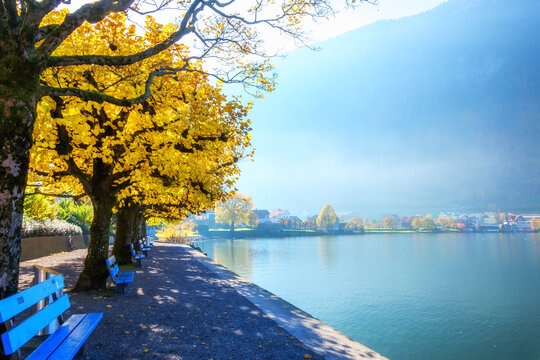 Benches on the waterfront by Lake Zug in autumn, Arth, Schwyz, Switzerland