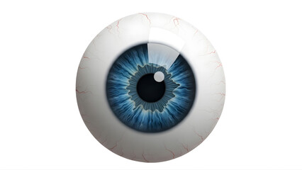Realistic blue eye anatomy illustration for medical education and ophthalmology study guide perfect image on transparent background