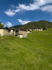 Obraz premium View of the Son alp in Valmalenco on a sunny summer day