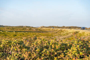 Road Through Coastal Landscape. A winding road cuts through the coastal heath with cars driving toward the horizon. The late sunlight bathes the scene in warm tones.
