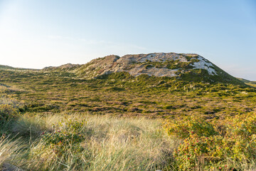 Green Dunes and Hill. A gentle dune rises with patches of green and white sand. The warm light highlights the natural patterns of the coastal vegetation.