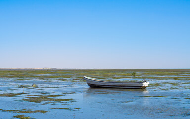 Lone boat rests on shallow water and seaweed