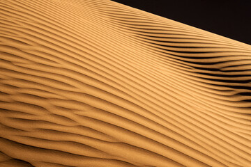 Golden desert dunes sculpted by the wind