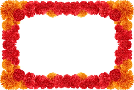 Vibrant red and orange flower frame offers joyful and decorative border