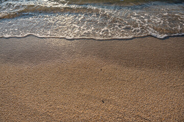 Foamy waves gently touch the golden sand as light reflects softly on the surface. A calm and intimate seaside detail.