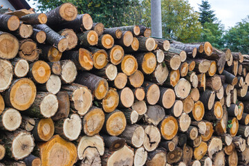 Unsplit Firewood Logs Cut to Meter