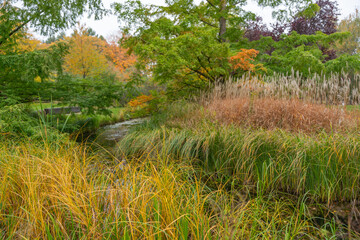 A calm stream surrounded by autumn grasses and colorful trees. Green, yellow, and orange tones create a serene natural scene.