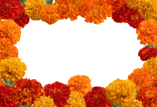 Vibrant marigold flowers frame cheerful copy space, creating festive border