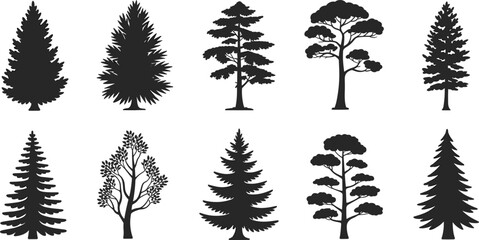 Collection of black silhouette tree illustrations including pine and deciduous species, detailed forest nature vector set for design and decoration
