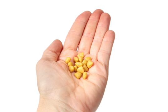 Hand with hydrolyzed soy protein cat food. Veterinarian prescribed hypoallergenic diet for cats or dogs with food allergies or gastrointestinal issues. Low molecular weight peptides. Selective focus.