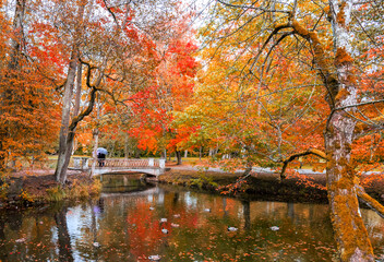 Late autumn in old public park and walking bridge