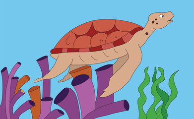 Turtle swimming in the blue sea