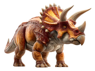 Fototapeta premium A beautifully detailed triceratops, its scales orange and brown, stands proudly in front of a solid white background on a bright day.