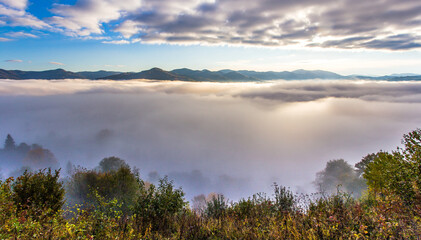 amazing autumn morning landscape, wonderful nature scene, Carpathian mountains, Lviv region, Ukraine, Europe...exclusive - this image is sell only on Adobe stock
